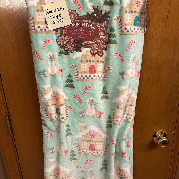 NWT North Pole Cookie Co Gingerbread House Plush Blanket Christma Mint Green '25 - Picture 1 of 4
